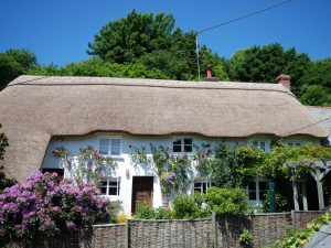 North Devon Country Cottage